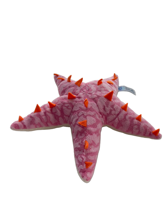 Astro The Starfish