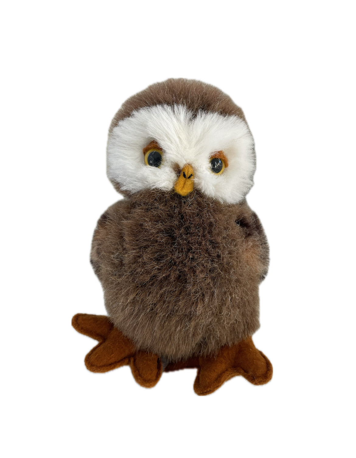 Wise Owl