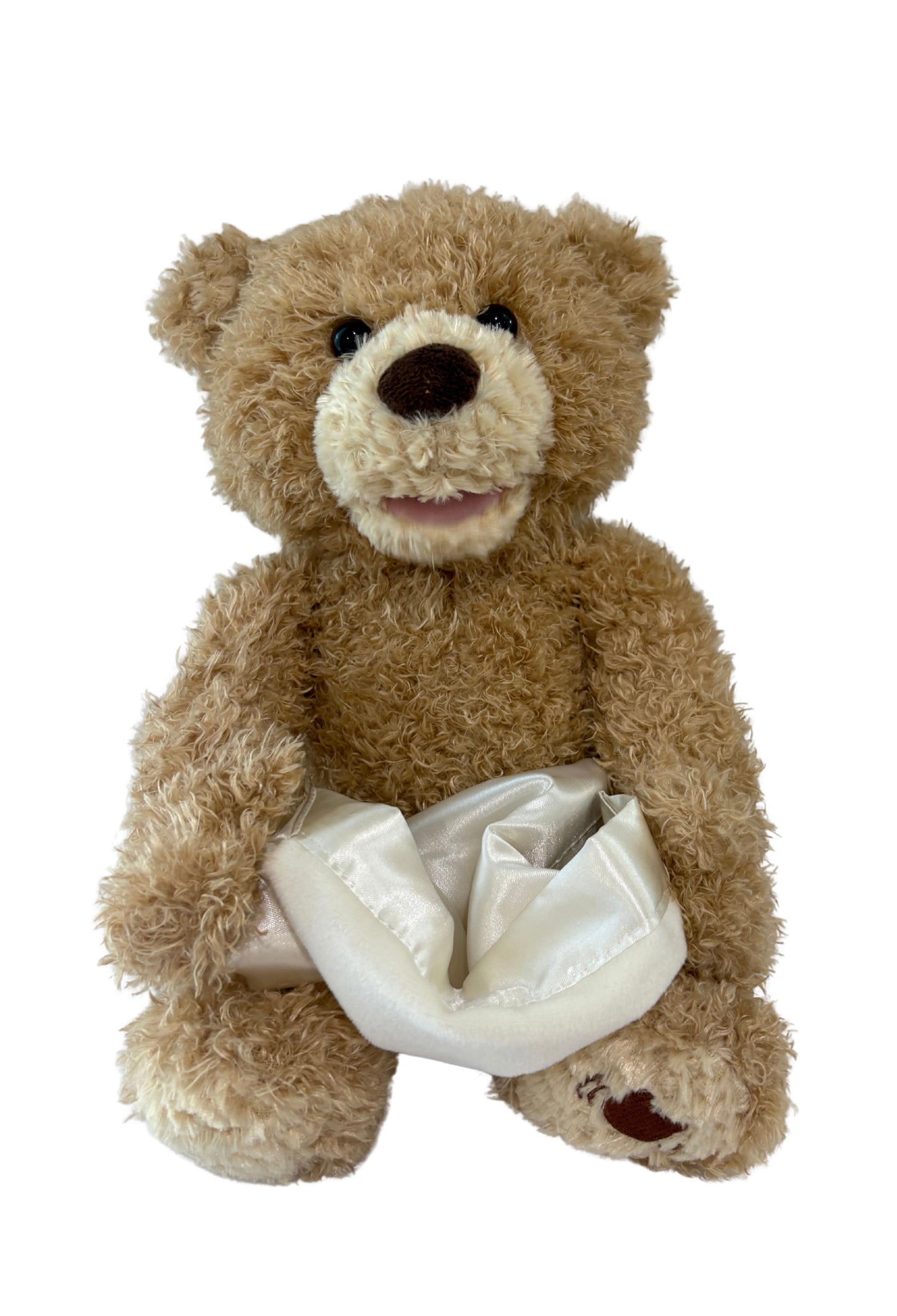 Baby GUND Gund Peek-A-Boo Teddy Bear Animated Stuffed Animal