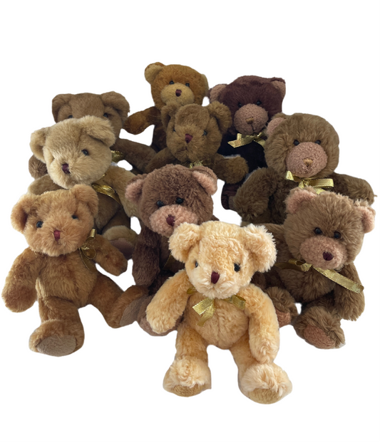 Surprise Teddy on the Shelf Naughty or Nice?