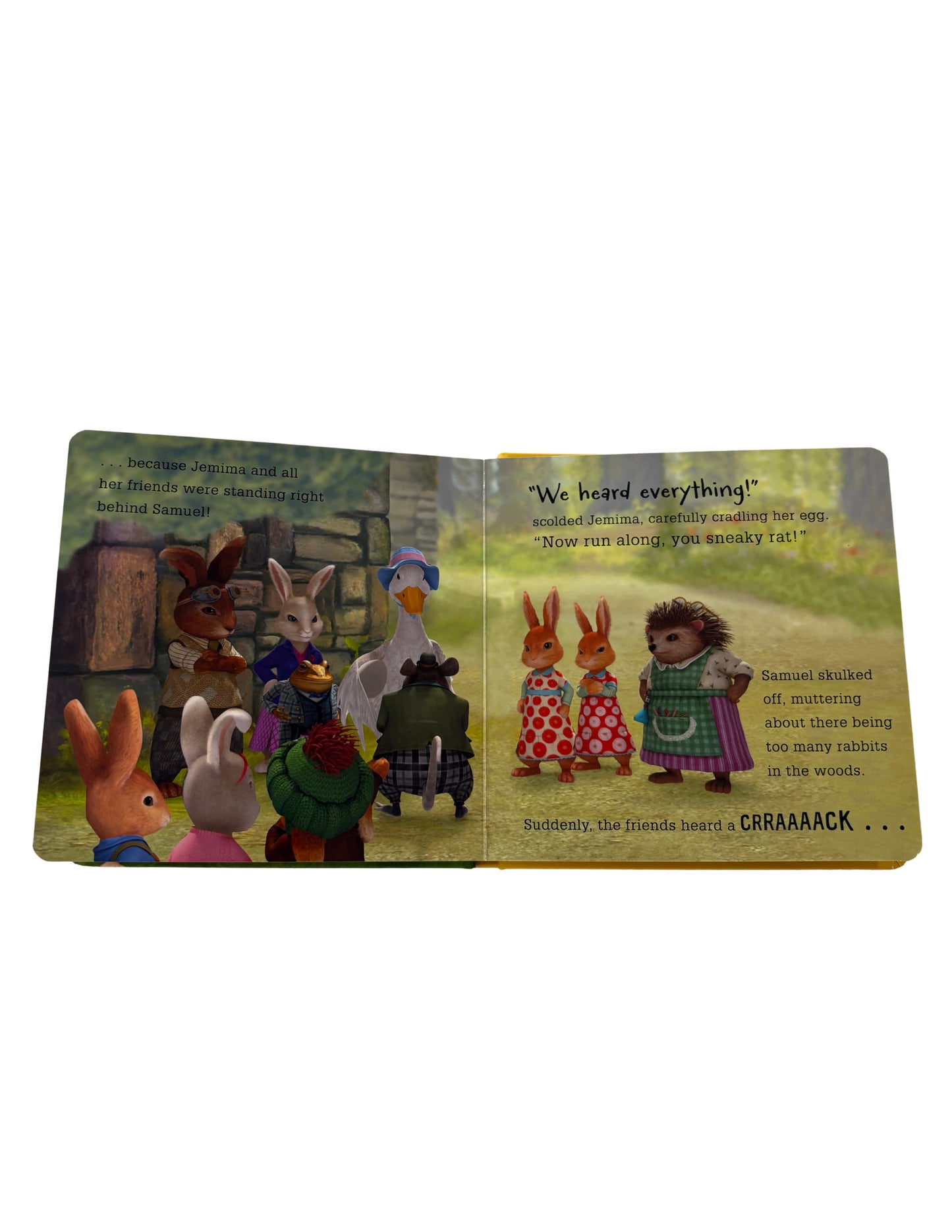 Peter Rabbit Easter Egg Hunt Hard Cover Book