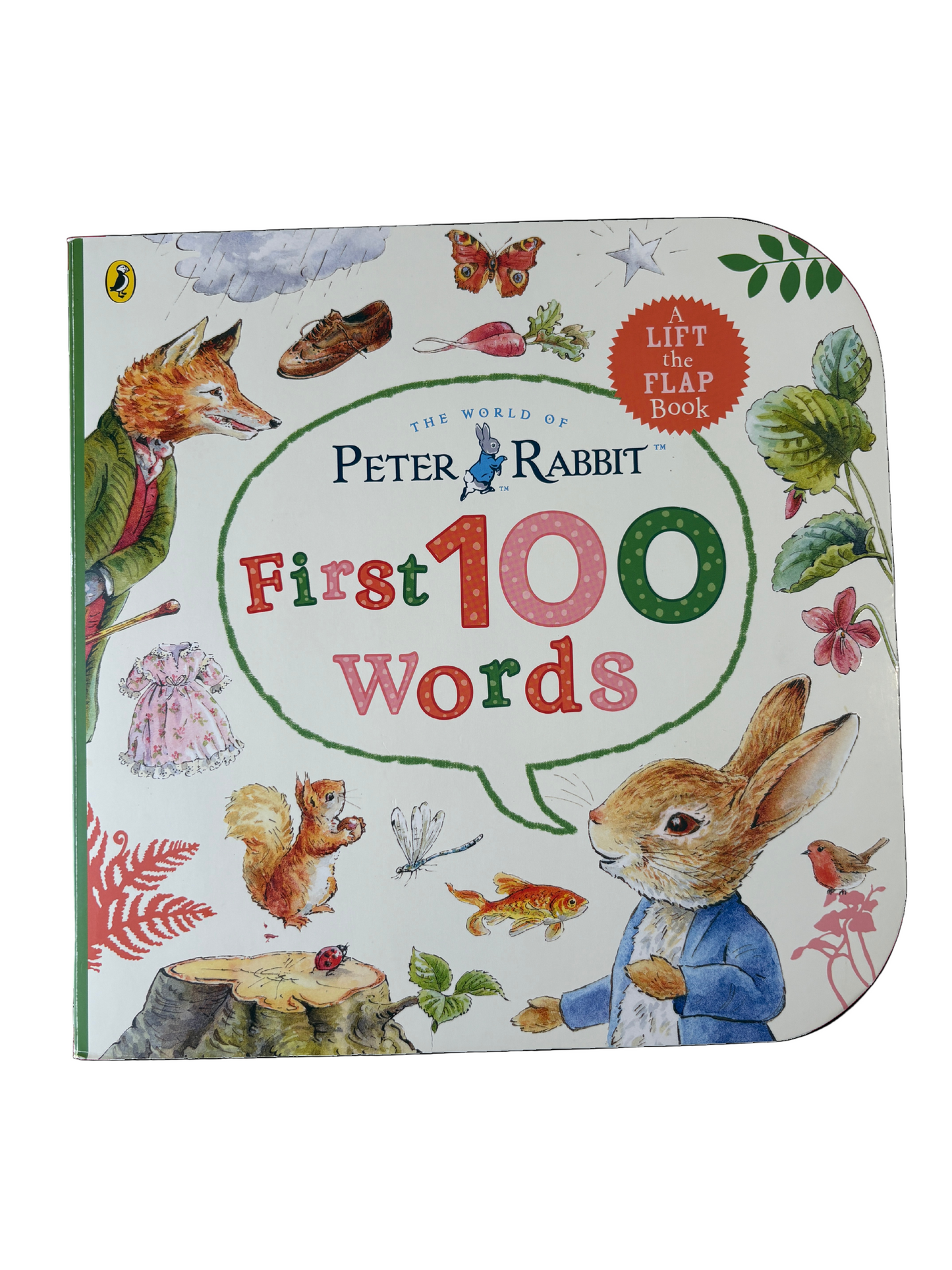 Peter Rabbit First 100 Words by Beatrix Potter