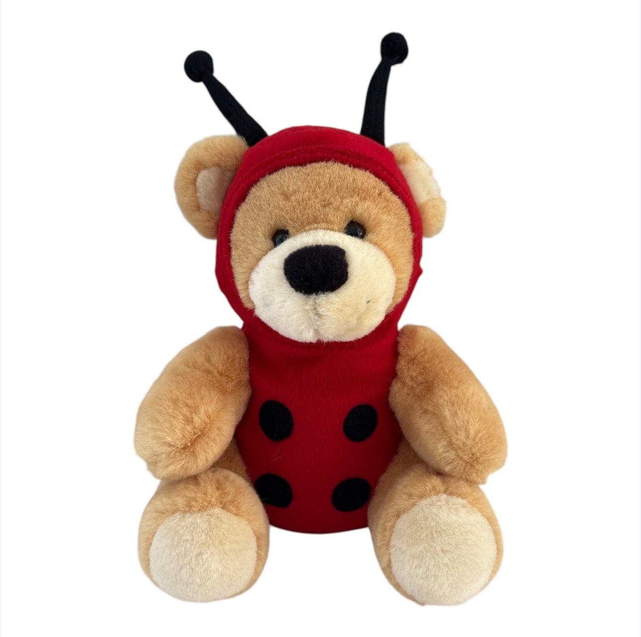 Ladybird Ladybug Teddy Bear Soft Toy Plush Gift Australia Birdy