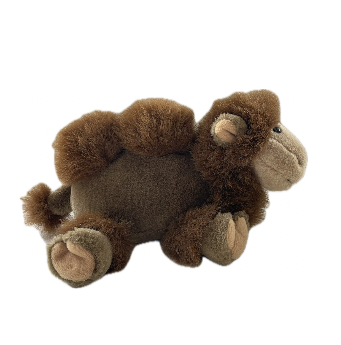 Humphrey