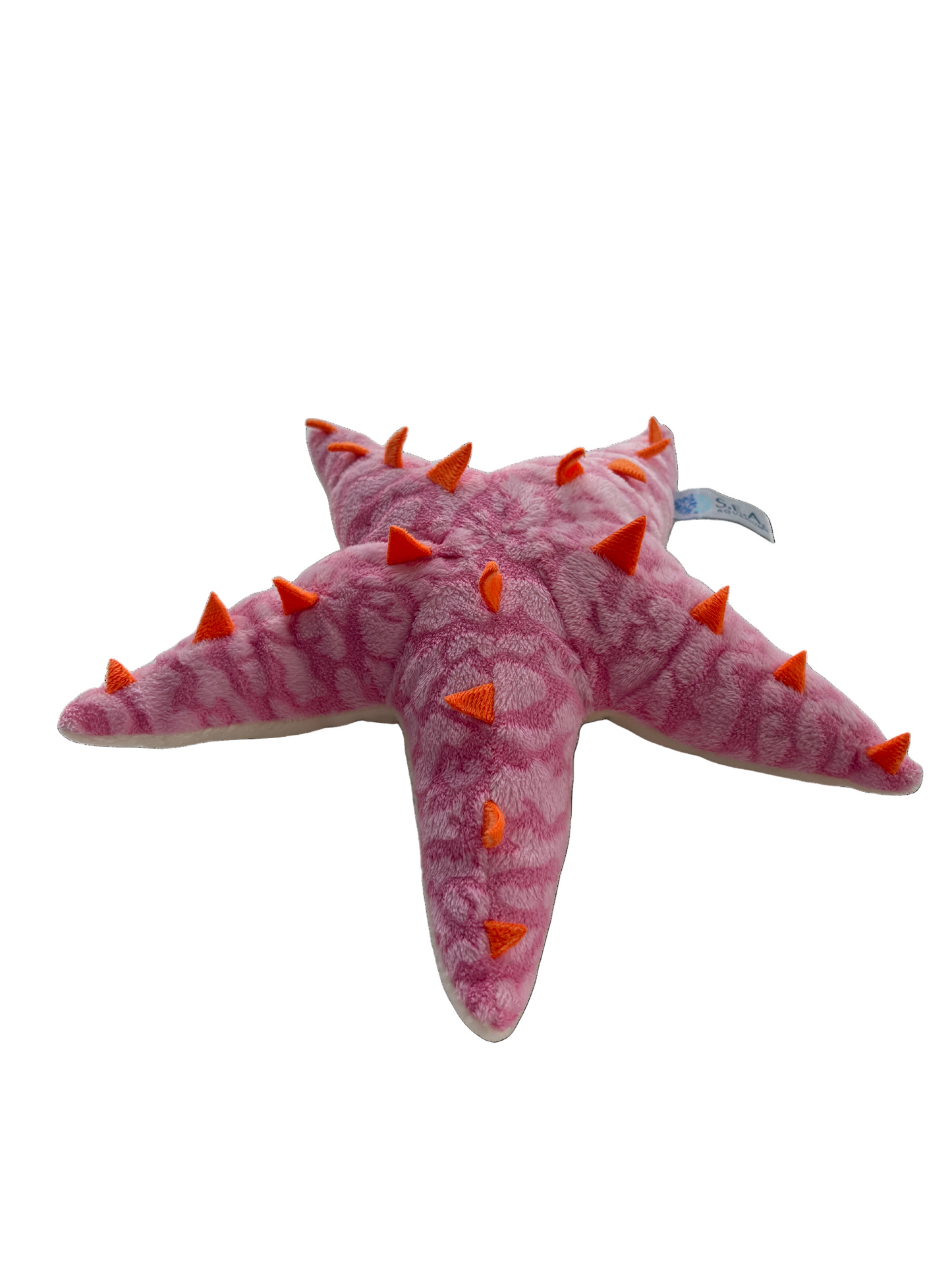 Astro The Starfish