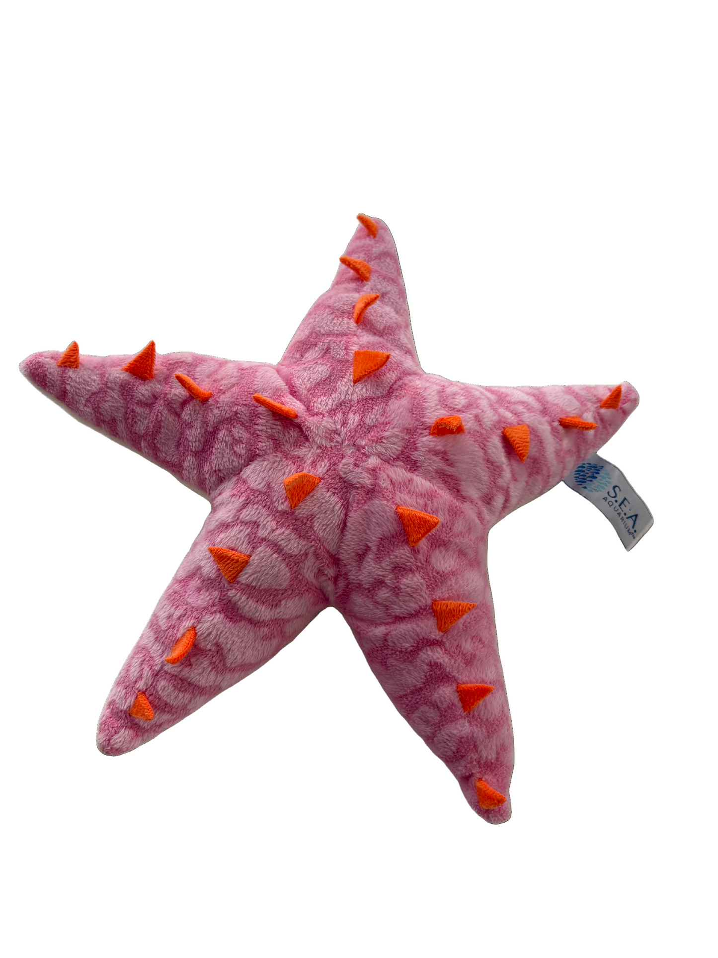 Astro The Starfish
