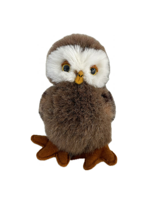 Wise Owl