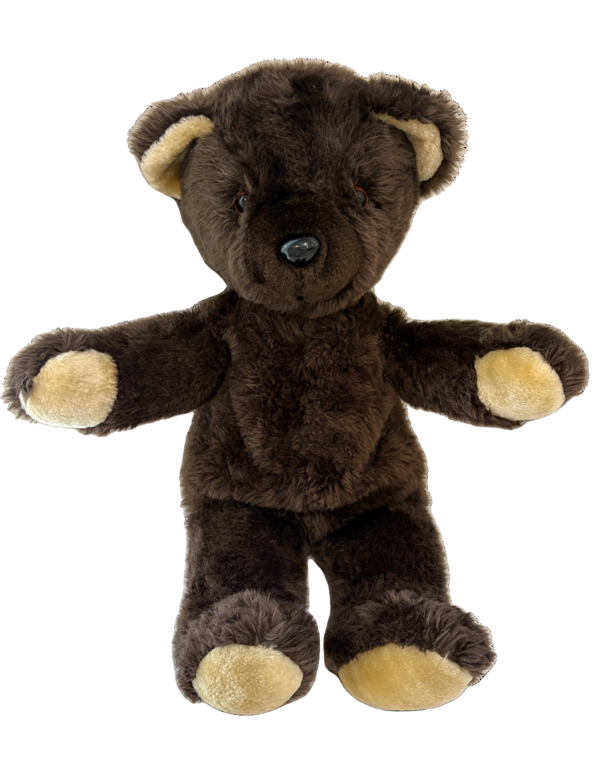 Sonic Snoring Teddy Bear Soft Toy Plush Gift Australia Preloved